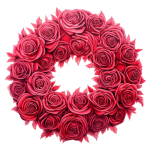 Infinite Roses
